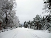 allée du Gaz photo