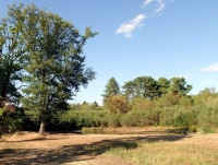 étang de La Martinière photo